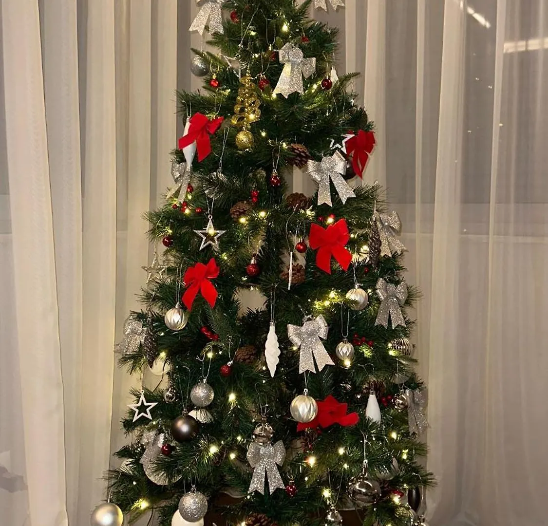 Frida Luxury Apartment Tirana
